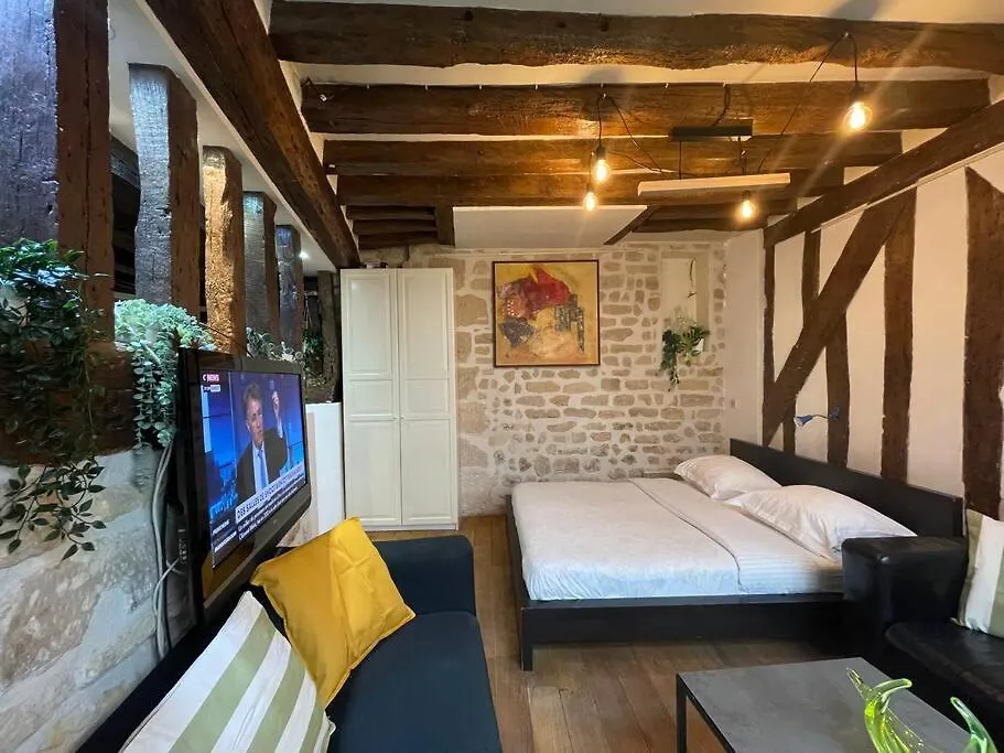 Charming Rue St Andre Des Arts Apartment *
